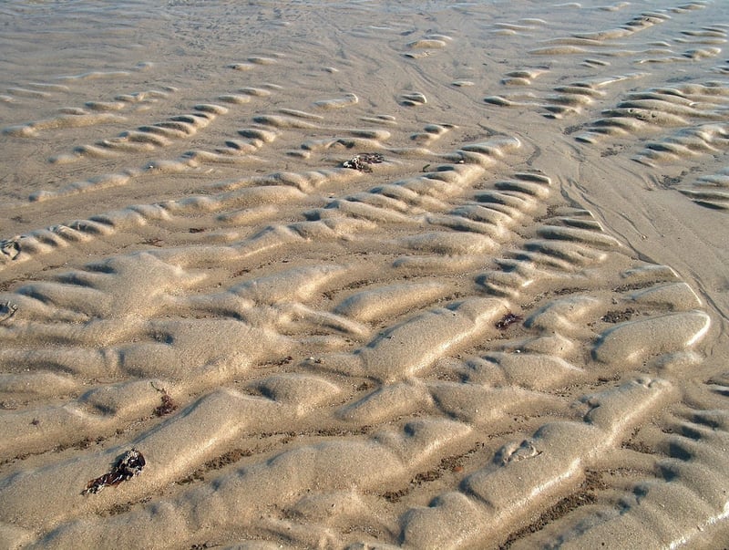 Upcycled Glass Bottle Vases